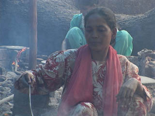 DSC00084-01