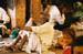 img002-01